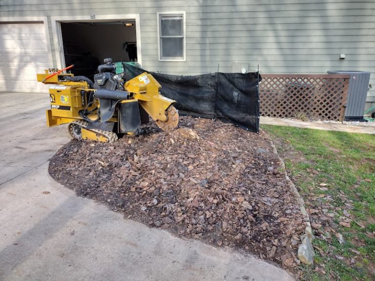 removing a stump near a driveway