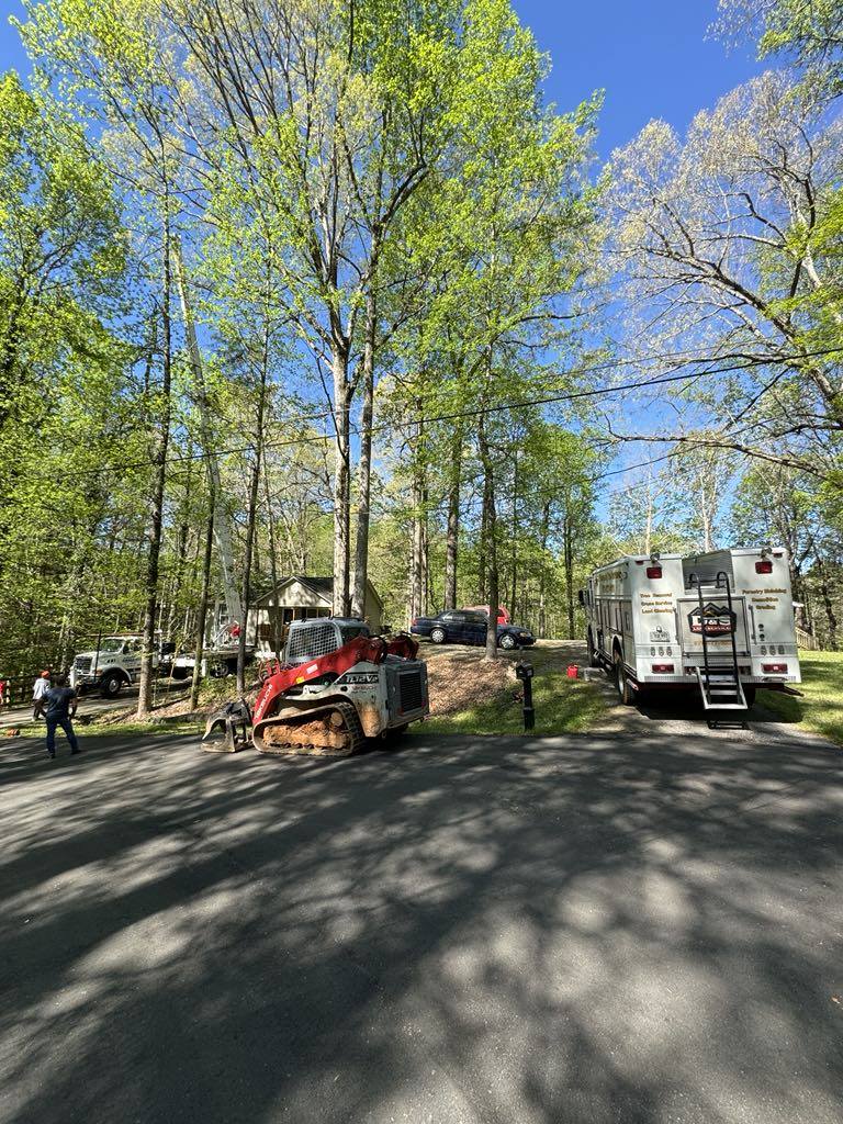 tree grinding service removal stump service Forsyth County