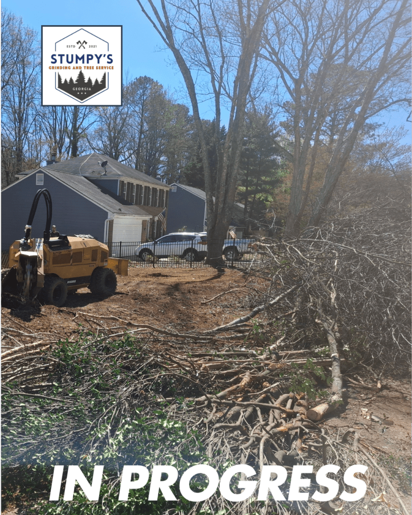 Tree removal expert local top rated stumpy's grinding and tree services
