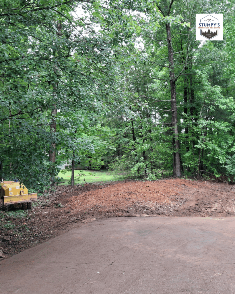"Stump grinding service in Forsyth county moving storm-damaged tree stumps" "Professional stump removal company serving Metro Atlanta residential properties" "Local tree stump grinding contractor working in Dawsonville area"