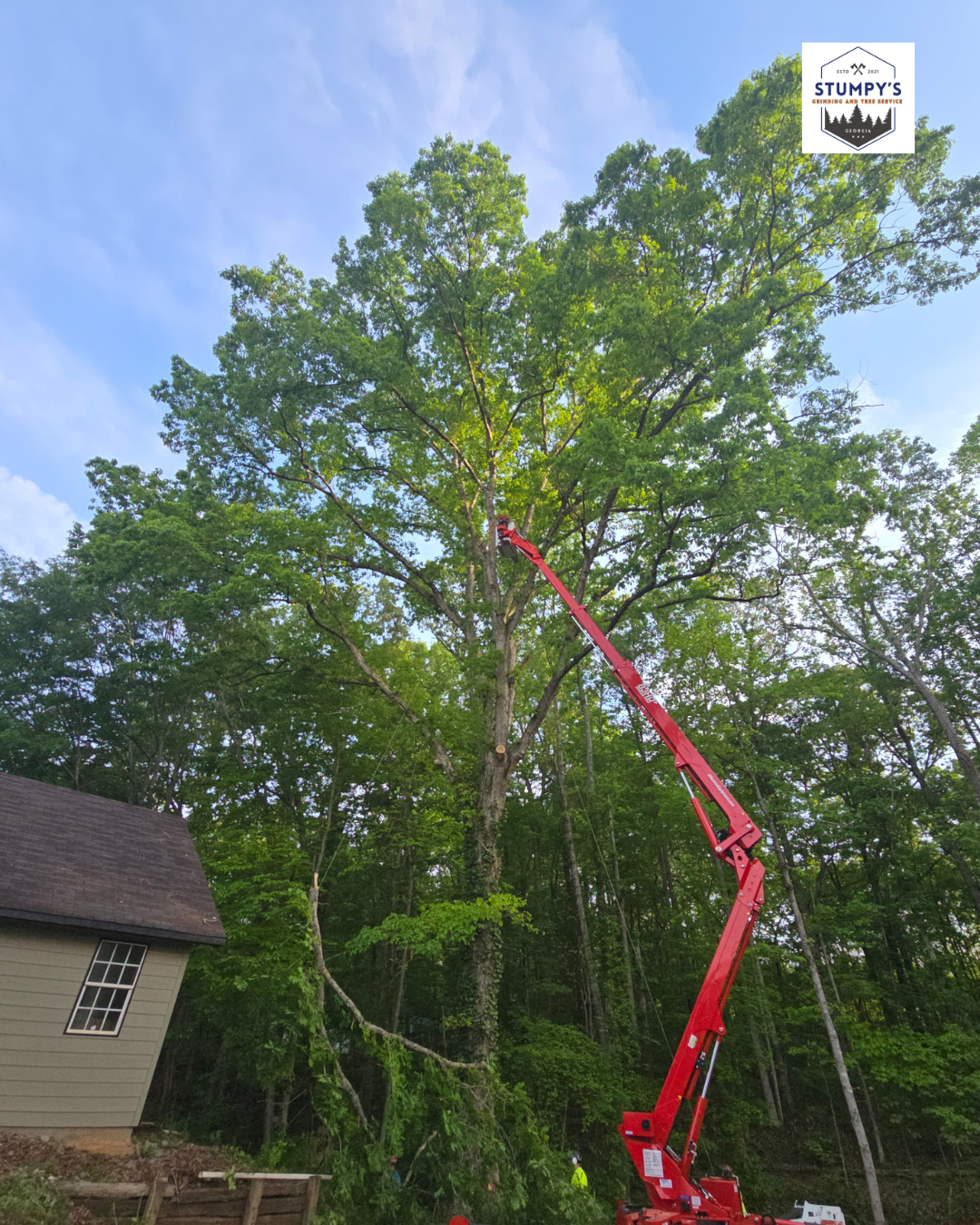 "Stump grinding service in Forsyth county moving storm-damaged tree stumps" "Professional stump removal company serving Metro Atlanta residential properties" "Local tree stump grinding contractor working in Dawsonville area"