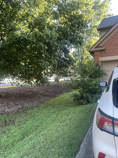 Photo from customer review