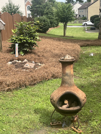 Photo from customer review