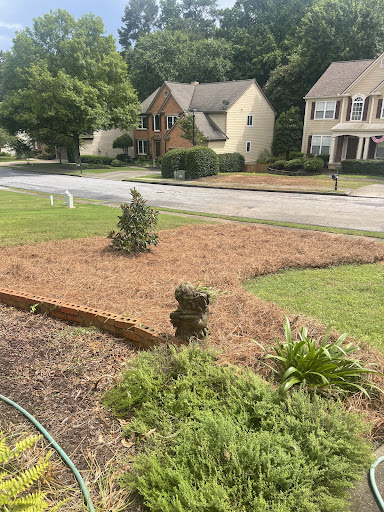 Photo from customer review