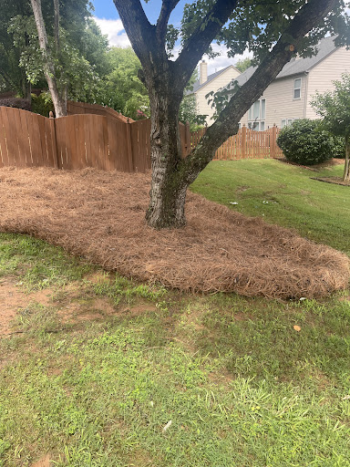 Photo from customer review