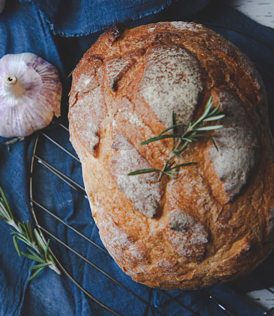 tree grinding service removal stump service Forsyth County