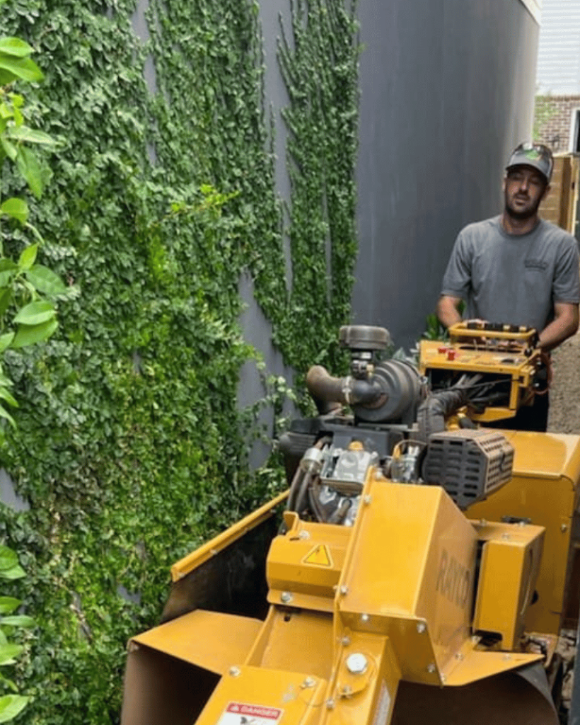 Stumpy's Grinding & Tree Service: Licensed, Insured Local Experts in Dawsonville, GA - Professional Tree Care & Stump Removal